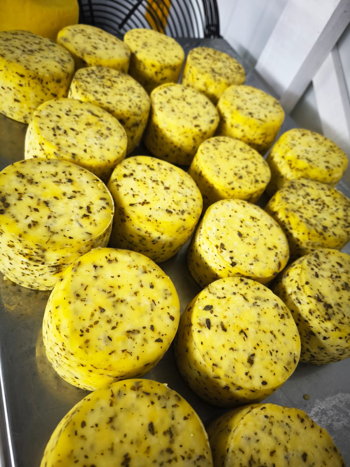 Quesos c/Especias El Encanto