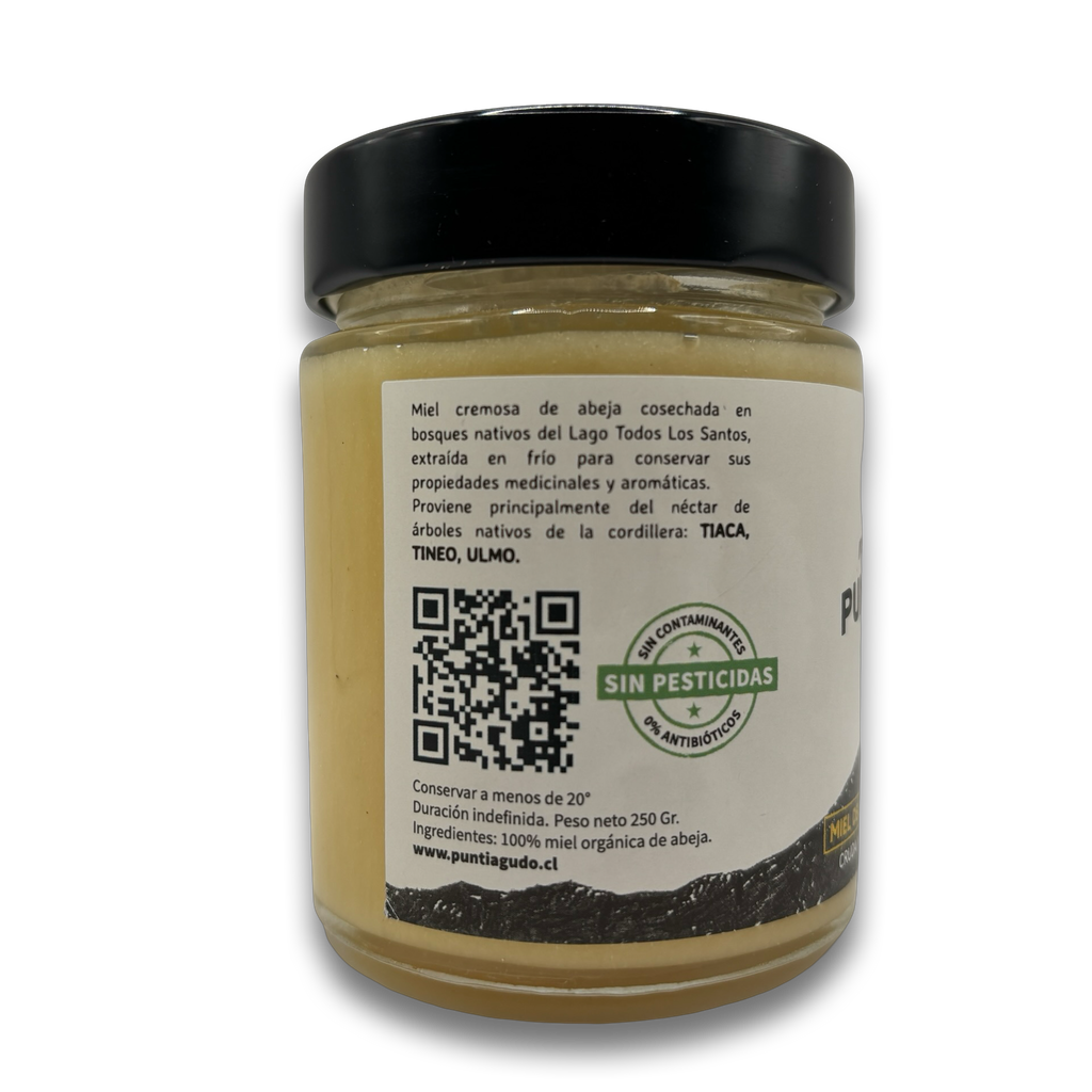 Miel de Bosque Nativo