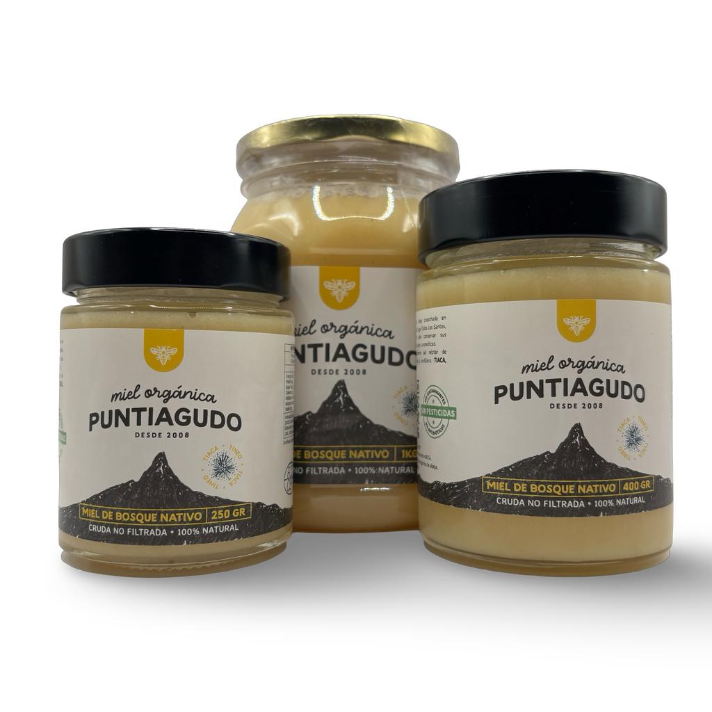 Miel de Bosque Nativo