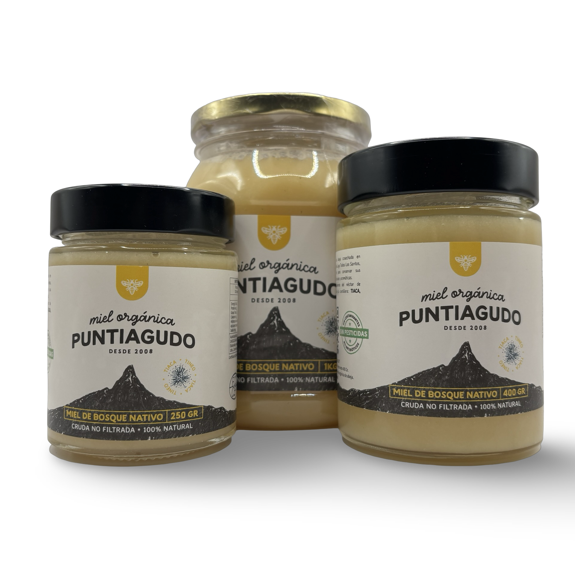 Miel de Bosque Nativo